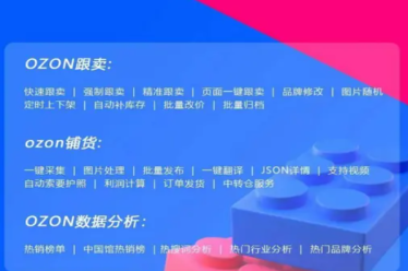 提供俄罗斯跨境电商O